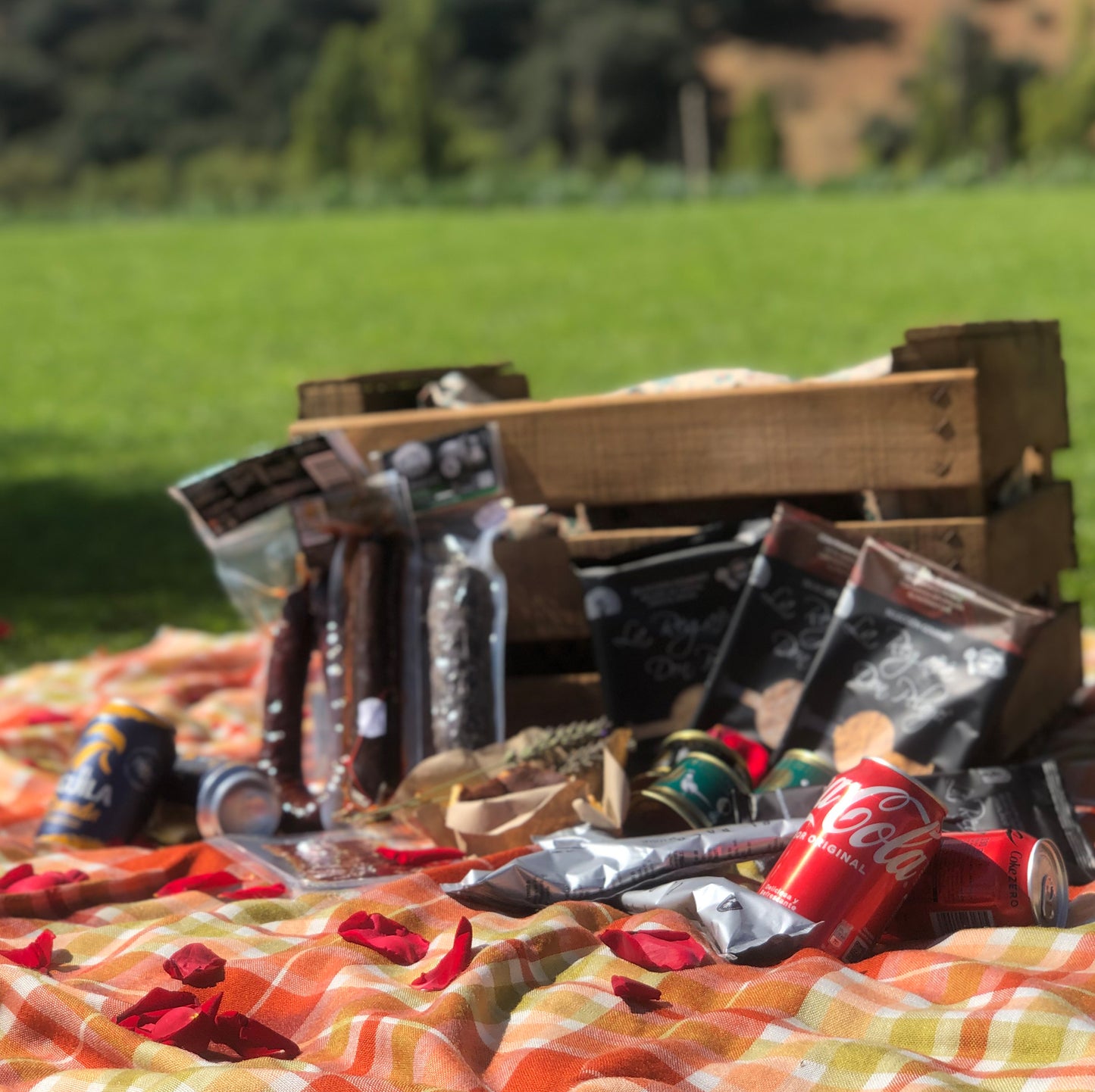 Picknickbox-Auswahl Cabañeros-Produkte