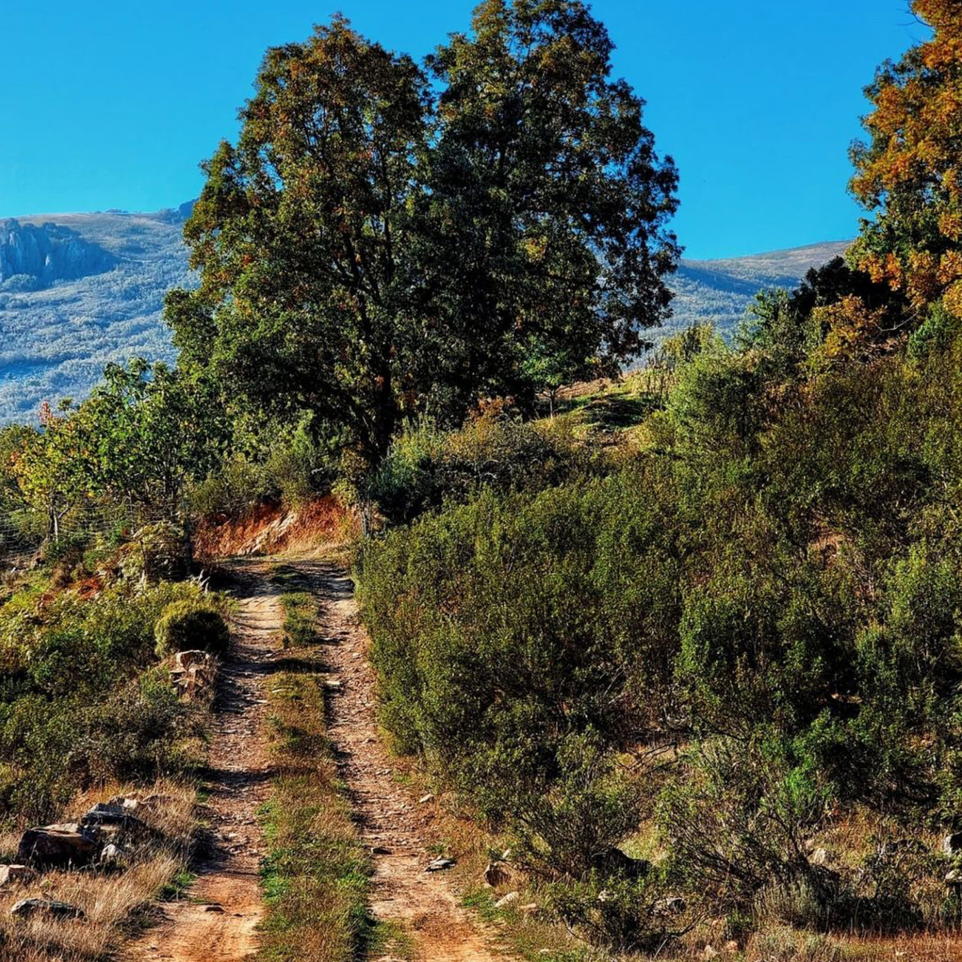 Rutas de Senderismo Toledo
