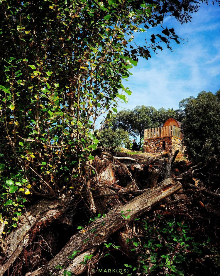 cork-valley-shop-pod-houses-toledo-cork-valley-pod-houses-toledo