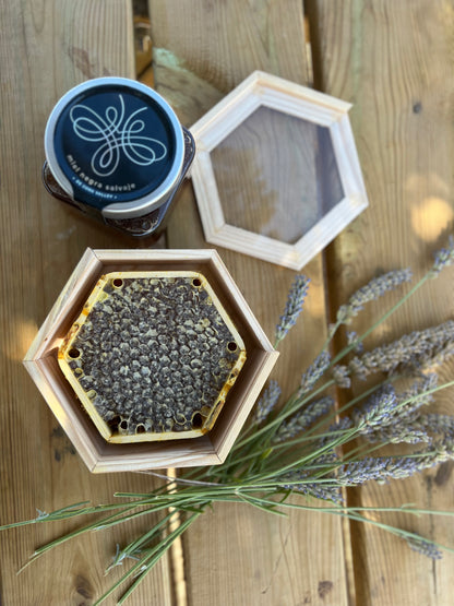 Miel Negra Salvaje en Panal