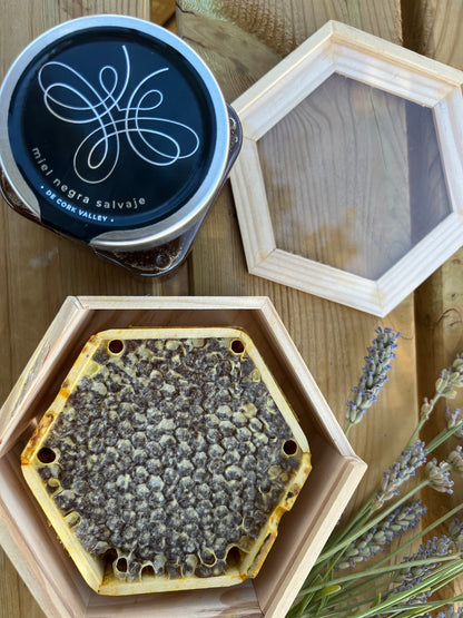 Miel Negra Salvaje en Panal